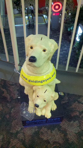 charity_dogs_small